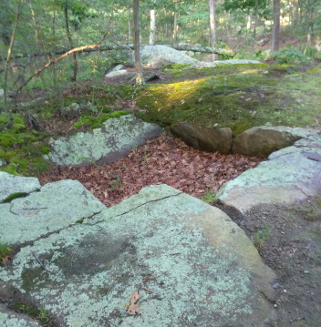 remnant ice house foundation