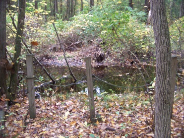 eel river viewing area in eel river woods in hingham