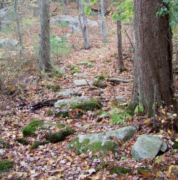 rocky area at eel river woods