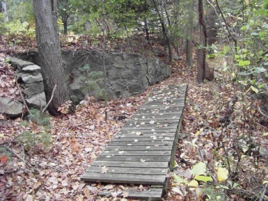 boardwalk on a loop in eel river woods