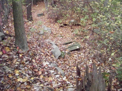 boardwalk step over in eel river woods