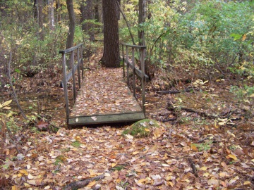 small bridge in eel river woods