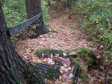 an interesting climb at eel river woods