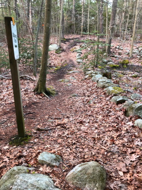 Ellsberg trail passes over water