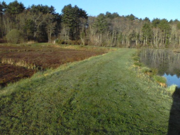 grassy hiking trail at ellis sanctuary