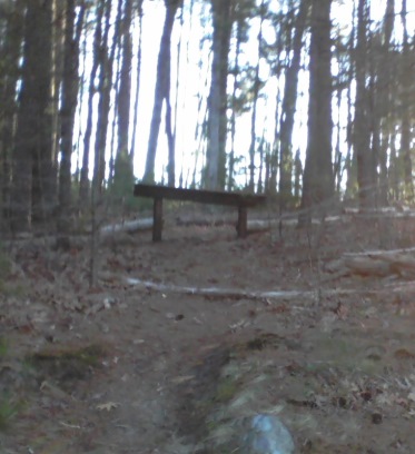 bench at ellis nature sanctuary