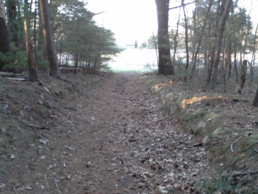 trail from parking to bog at ellis sanctuary