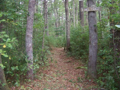 EMS Trail at Stetson Meadows in Norwell