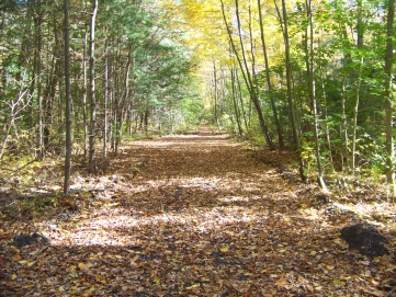 rockland rail trail in fall