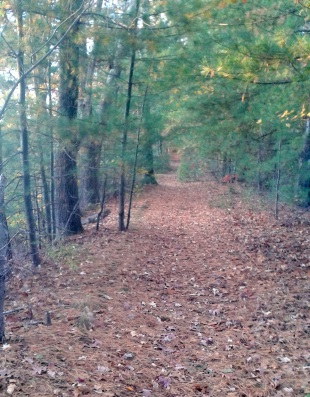 donald flaherty trail in whitman