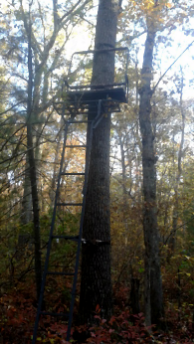 deer stand