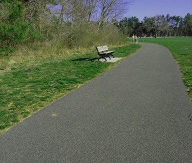 Plenty of benches to rest on along the walking trail at forge pond park.