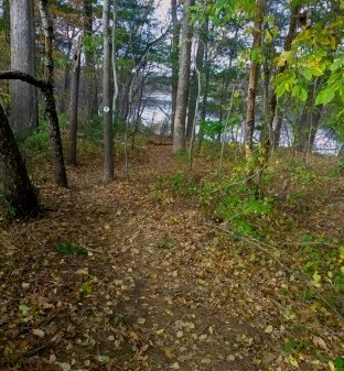 forge pond trail marked by conservation signs.