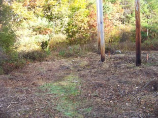 powerline crossing on french's stream trail