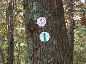 trail markers on french's stream trai