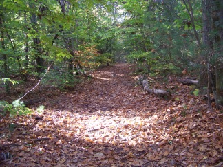 wide path of french's stream trail