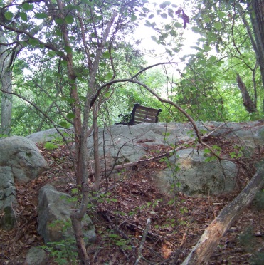 Looking up to the bench at the observation area from the connector trail at George Ingram Park.