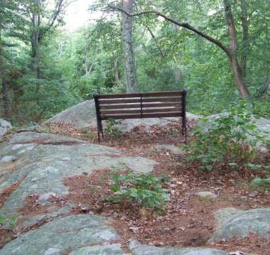 A large rock outcropping forms an observation area with a bench.