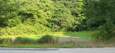 Dried pond looks like a vacant lot in summer of 2016.