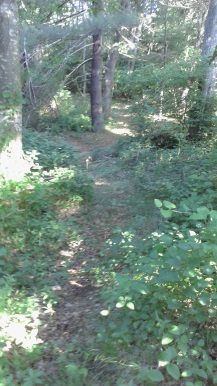 Winding Mack Trail in George Ingram Park.