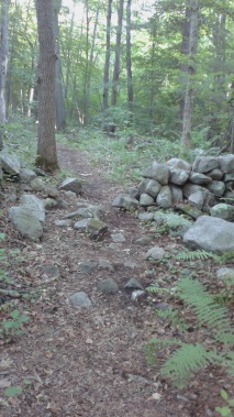 Hiking trail runs through a classic old New England stone wall in the forest at George Ingram Park in Cohasset.