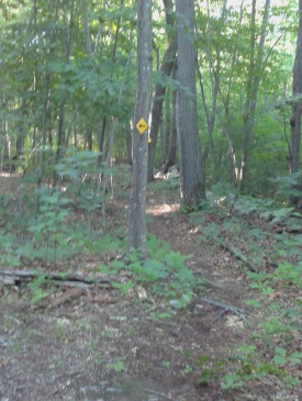Yellow diamonds with arrow blazes mark the George Ingram Park hiking trails.