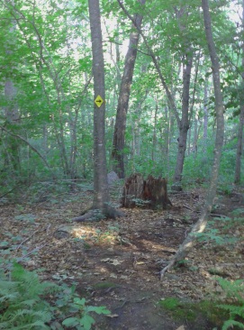 Blaze with an arrow helps hikers realize the trail turns right.