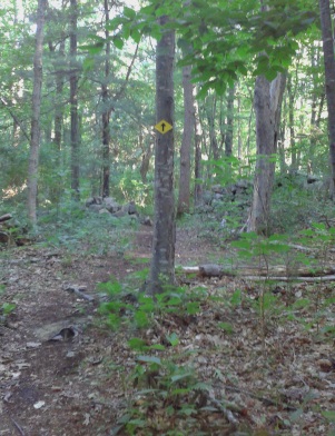 End of the loop trail at George Ingram Park