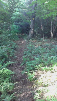 Start of the Connector Trail at George Ingram Park.