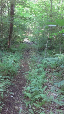 Connector Trail runs over newly built boardwalk.