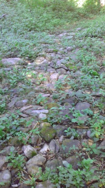 Rocks on trail appear to be glacial til but too organized.