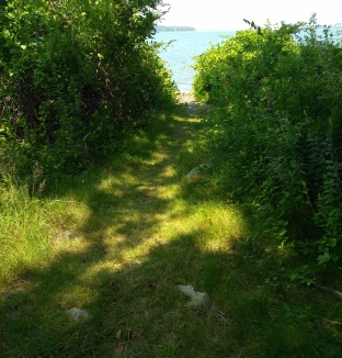 Hiking trail on Grape Island.