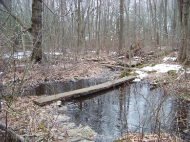 walkway over water in great brewster woods