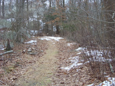 cart path used as an access to great brewster woods