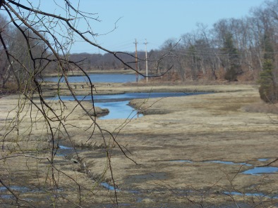 early spring view at great esker park