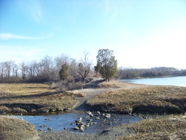 reversing falls at great esker park