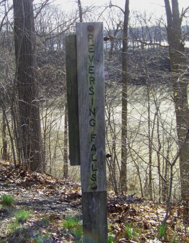 reversing falls trail at great esker park in weymouth