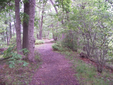 reversing falls trail great esker park