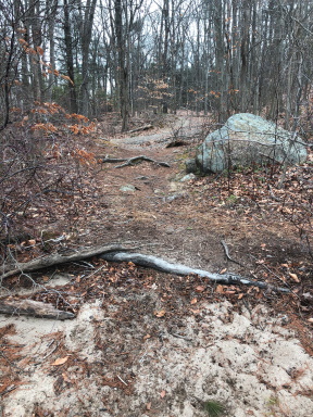 Sandy trail