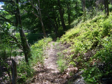 narrow woodland trail at great esker park