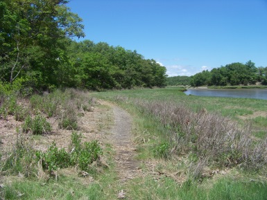 trail along the marsh and back river at great esker park