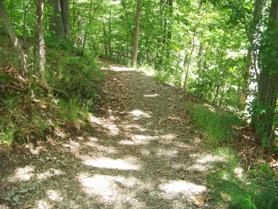 beginning descent of reversing falls trail in weymouth