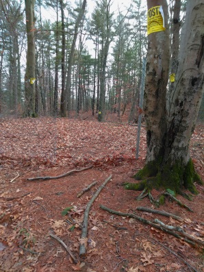 Fenced in private property at the top of the hiking trail loop in Hanson Veterans Memorial Town Forest.