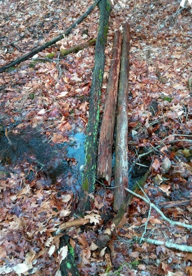 Makeshift bridge across a stream in the Hanson Town Forest.