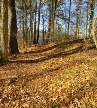 Hiking trail runs close to a small esker.