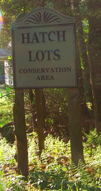 Hatch Lots conservation area