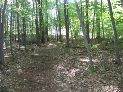 trail leading out to edgewood park in norwell