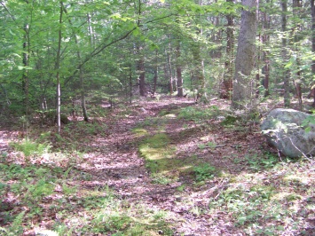 trail leading into private property at Hatch Lots Conservation Area