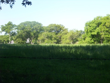 looking out at hornstra farm fields from hatch lots in norwell