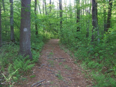 white dots mark the trails at hatch lots conservation area